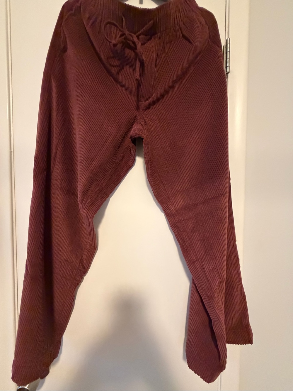 American Eagle Outfitters Rust Brown Corduroy Drawstring Pants